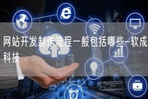 网站开发制作流程一般包括哪些-软成科技